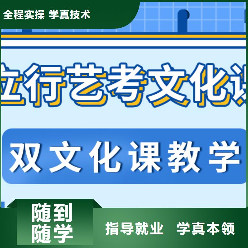 艺术生文化课培训补习哪个好艺考生文化课专用教材