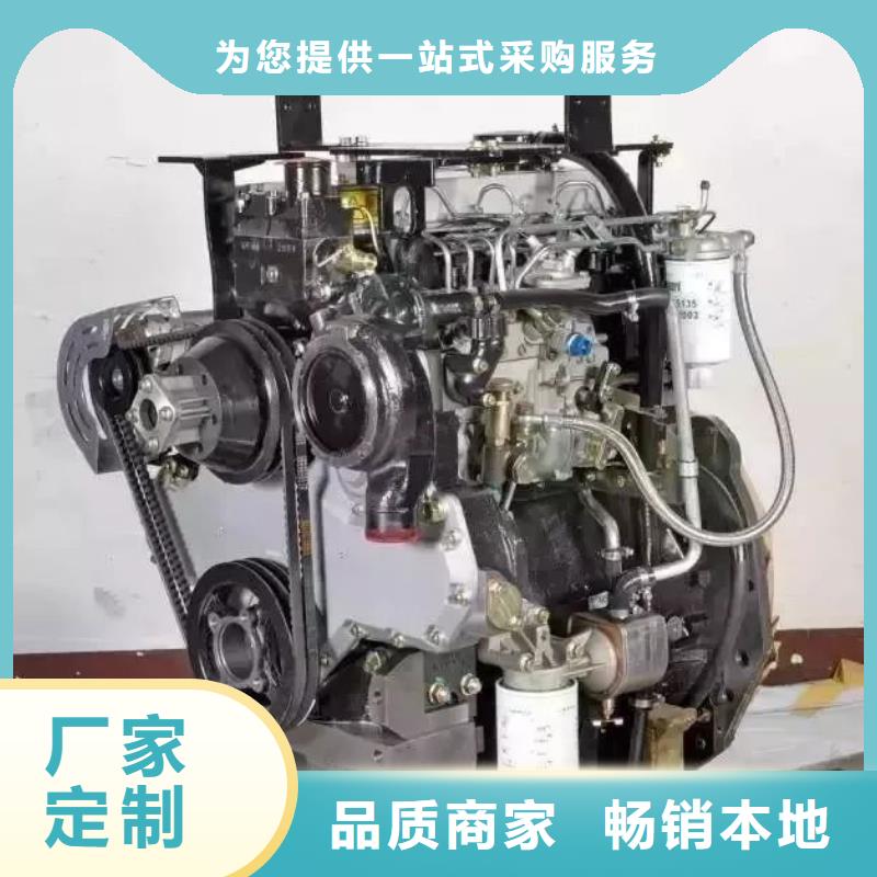 [咸宁]本土贝隆15KW风冷柴油发电机组-15KW风冷柴油发电机组厂家