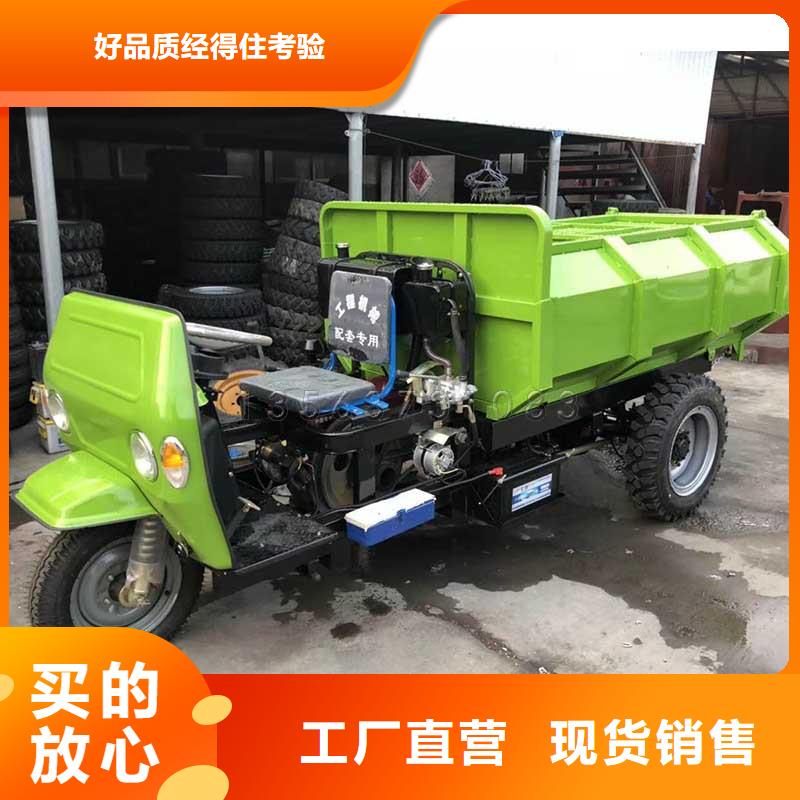 品牌的瑞迪通三轮车公司