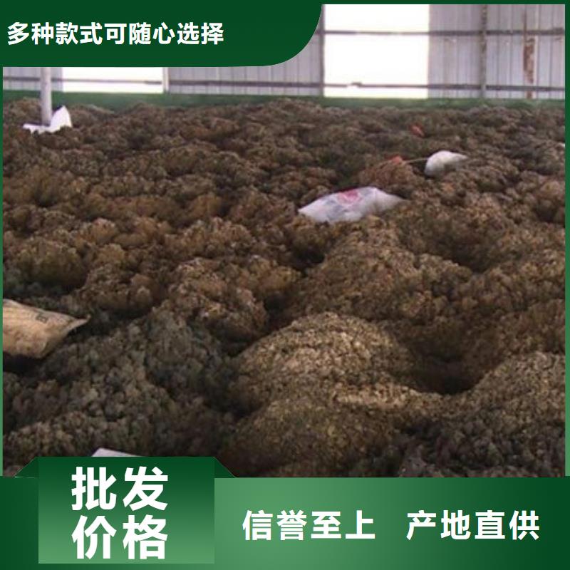 含铜泥免费上门