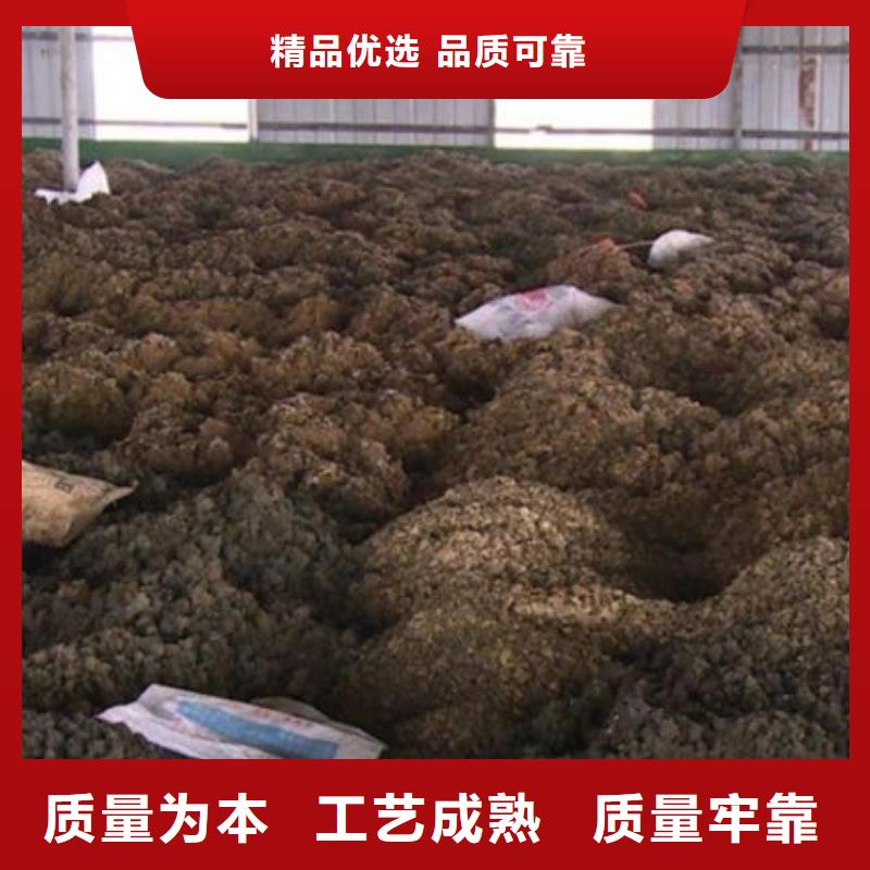 含铜泥 【回收太阳能发电板】现金支付