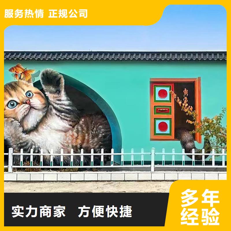 瓊海市鄉(xiāng)村振興墻繪手繪墻彩繪工作室