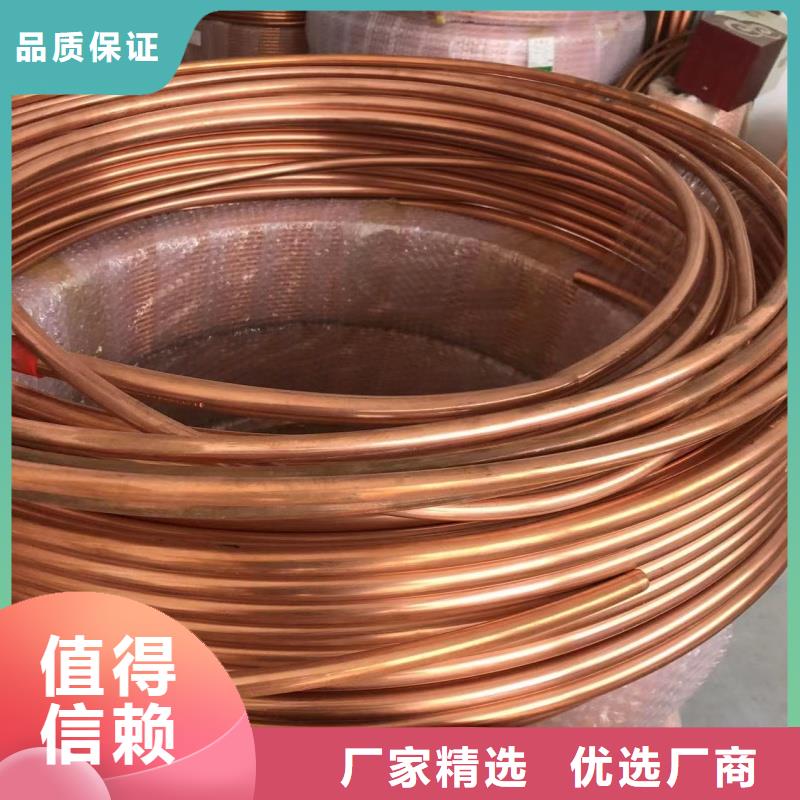 铝排欢迎来厂考察