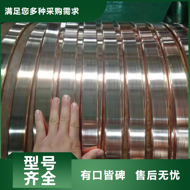 镀锡紫铜排多少钱