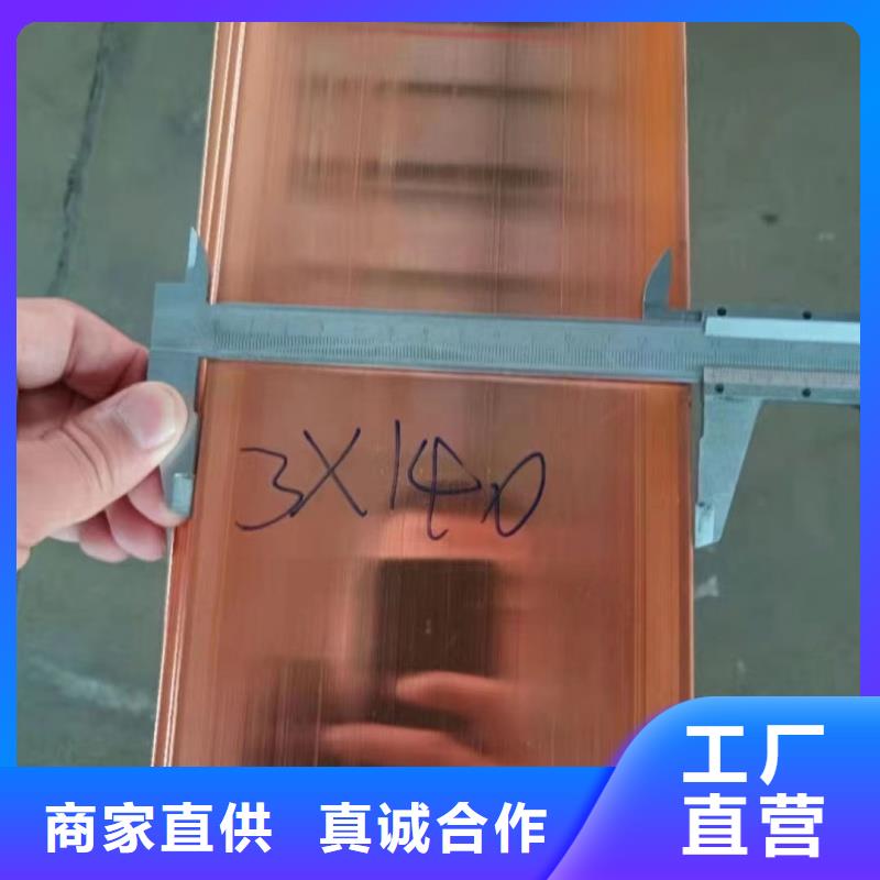 紫铜排欢迎来厂考察