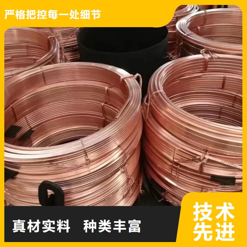 紫铜排品种全