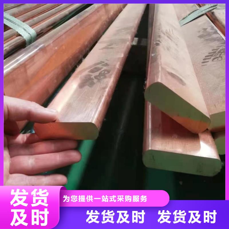 紫銅排常年供應(yīng)