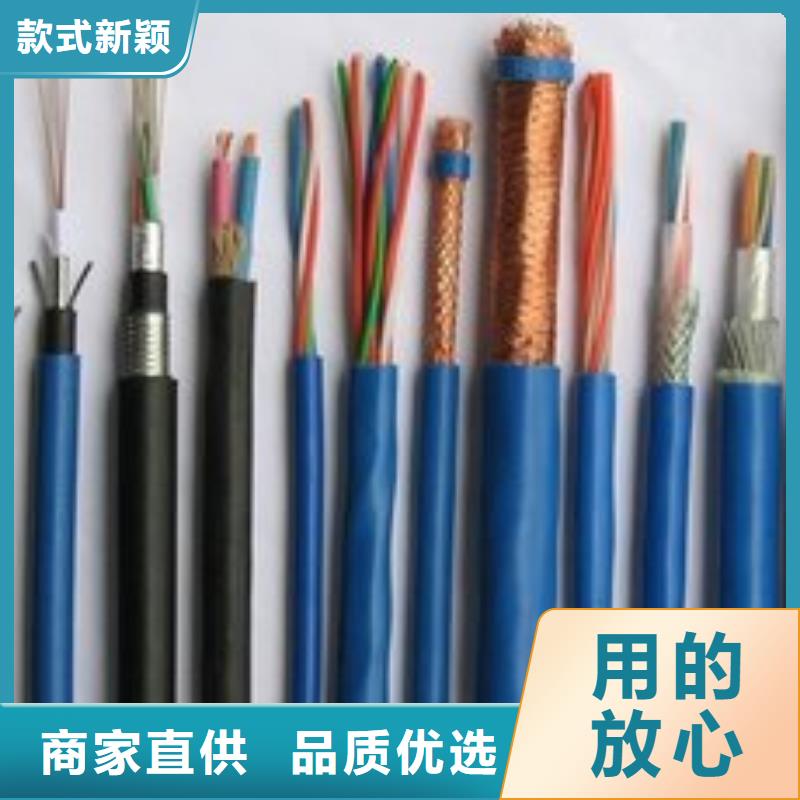 电线电缆PTYA23电缆品质过硬