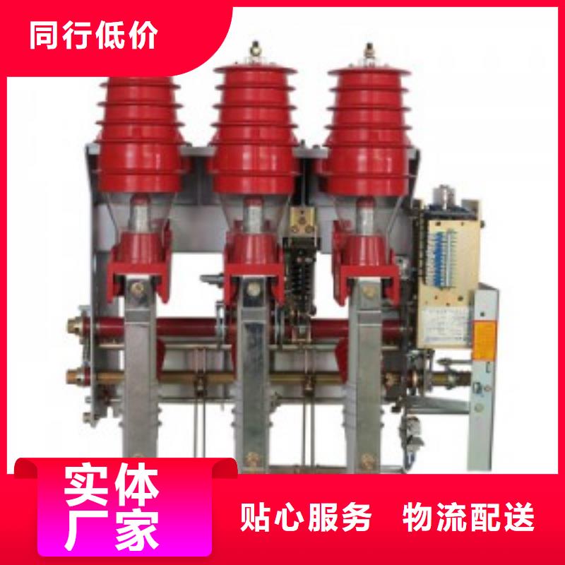 FZN16-12/630-D高压负荷开关