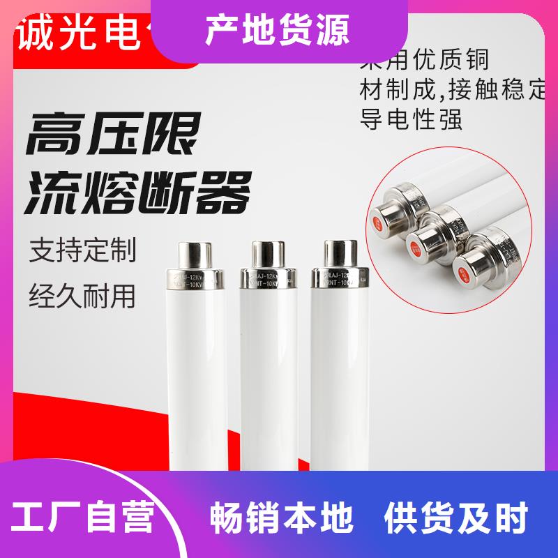 HRXWO-40.5/2A熔断器