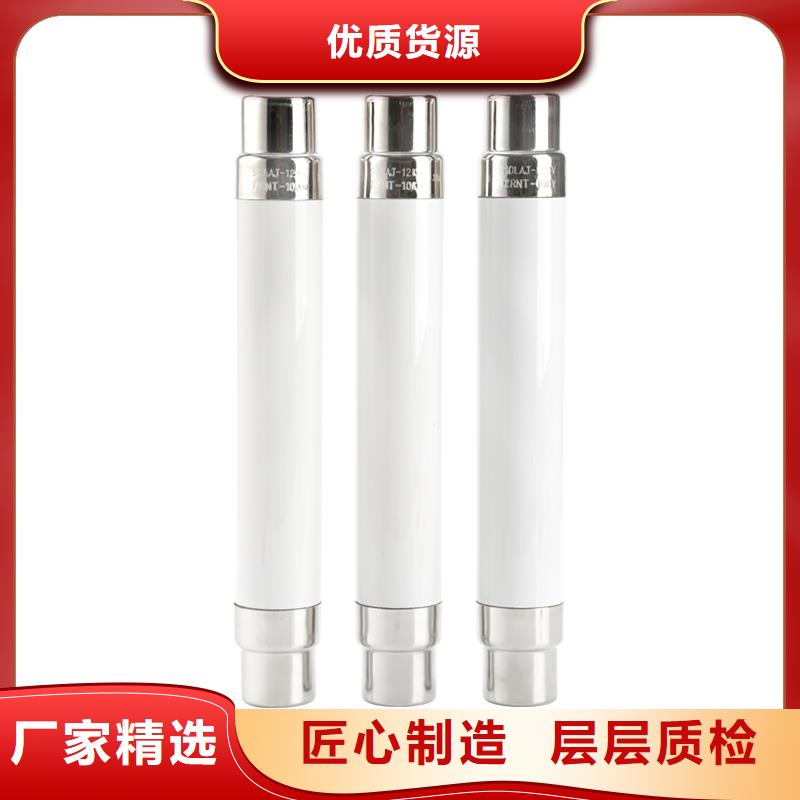 RNK-6/3A双管限流熔断器