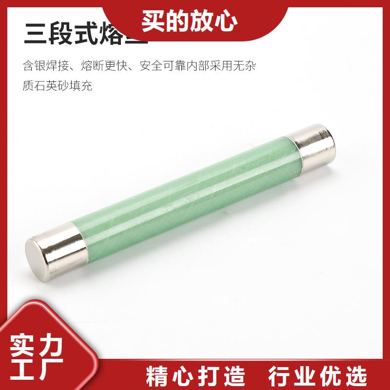 XRNP1-3.6KV/3.15A变压器用熔断器
