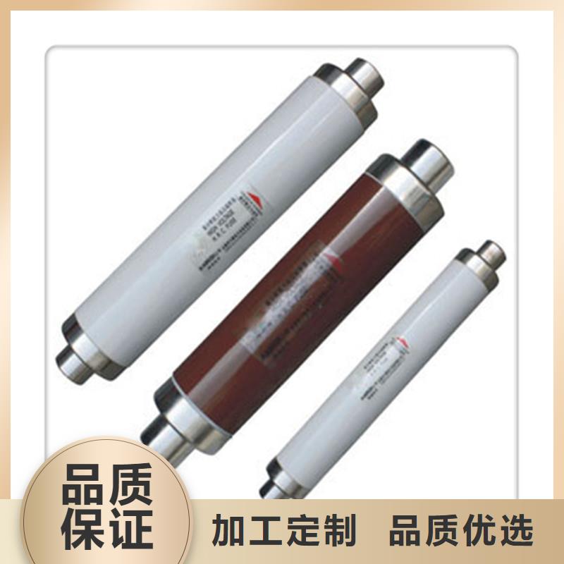 XRNP-10KV/3.15A高压限流熔断器