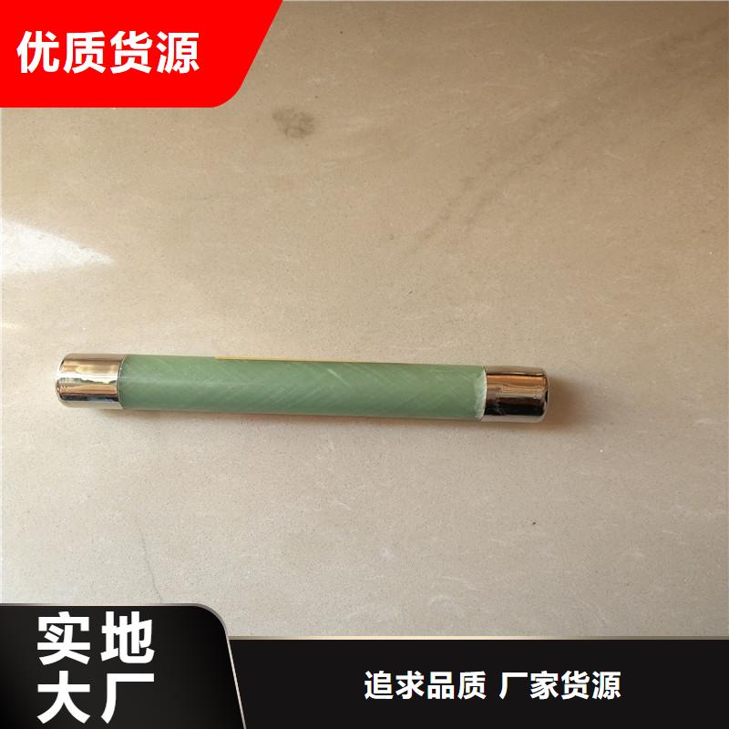 WFNHO-10KV保险管