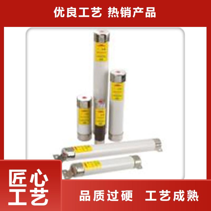 XRNT-24/31.5A熔管