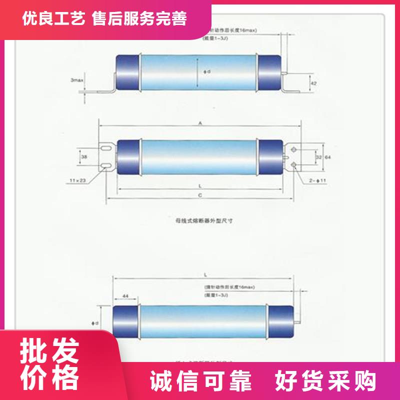 RN3-6/5单管高压熔断器昌江县