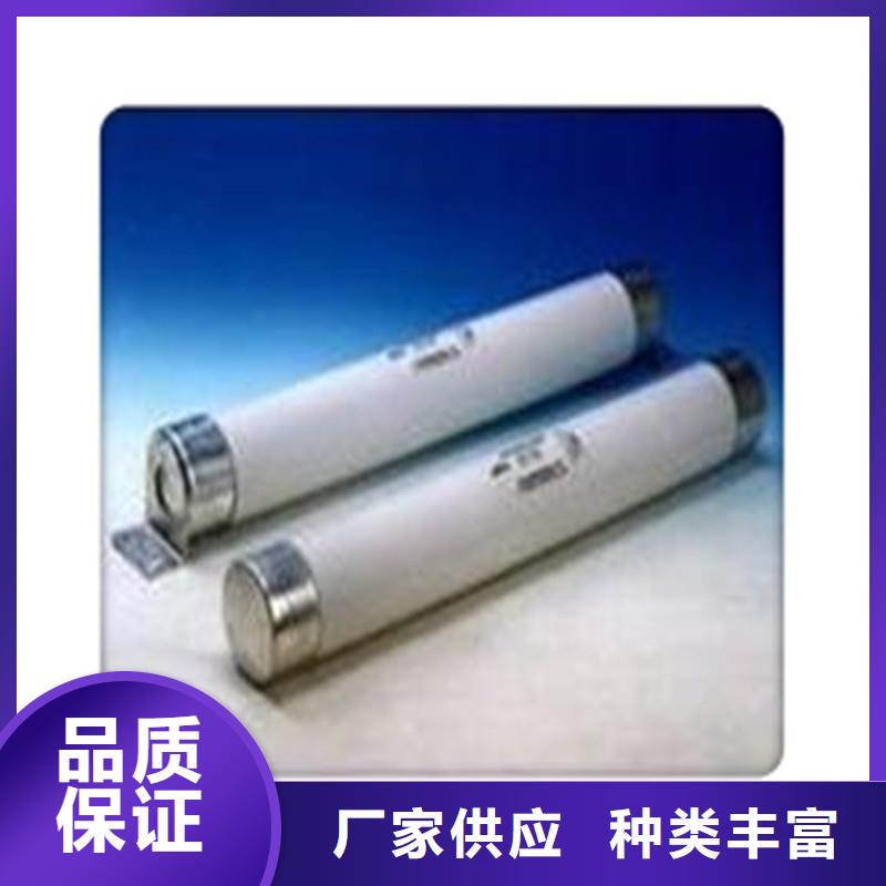 XRNT1-12/2A熔断器