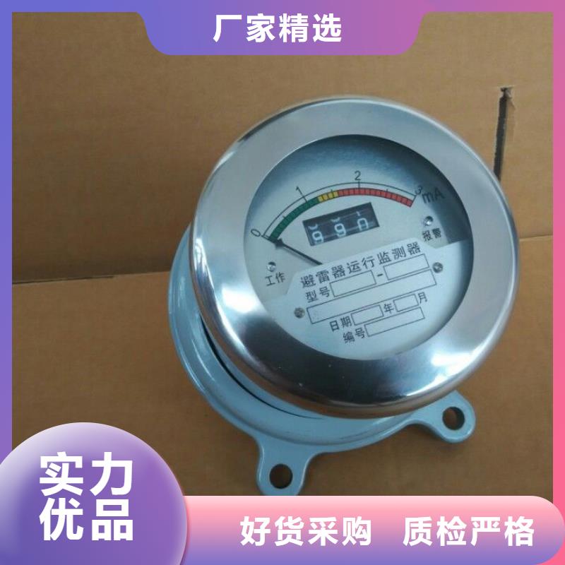 樊高氧化锌避雷器【计数器】-绝缘子精品选购企业旺旺