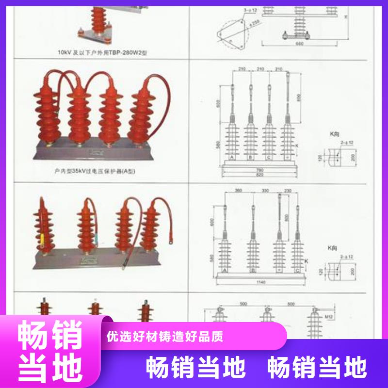樊高氧化锌避雷器【计数器】-绝缘子精品选购企业旺旺