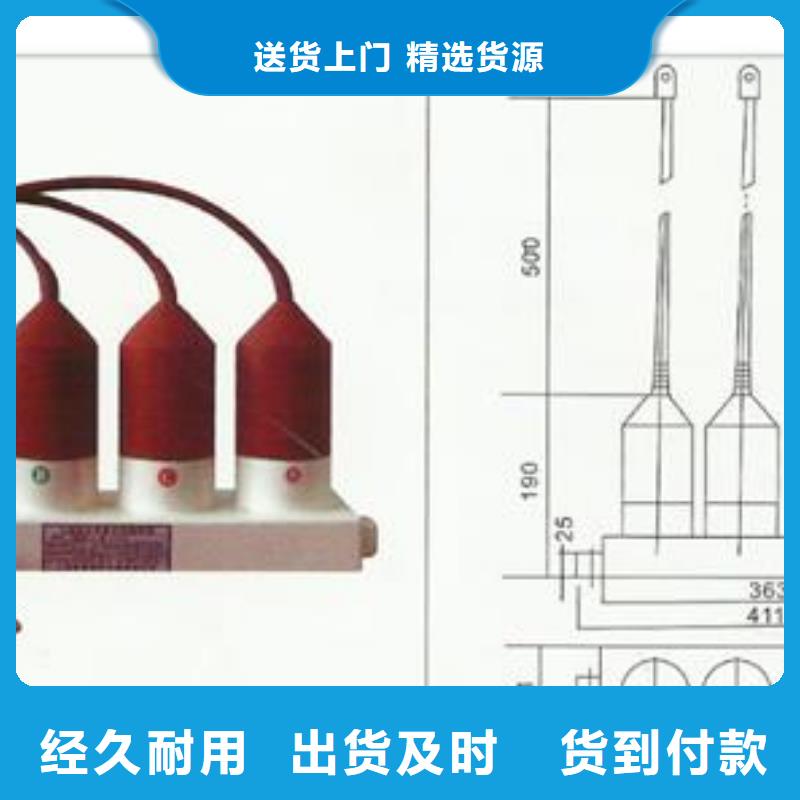 【计数器】_氧化锌避雷器厂家型号齐全-樊高电气销售部(宜昌市分公司)