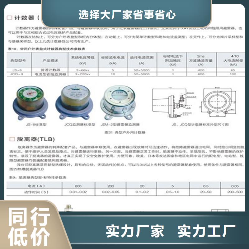 JCQ3A-10/800避雷器计数器