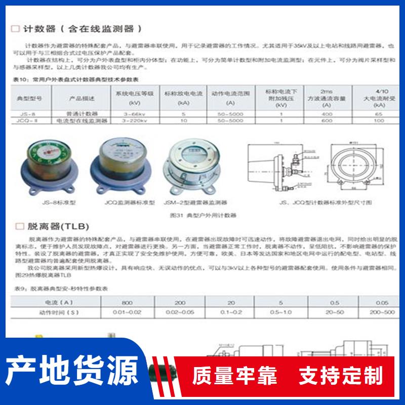 JCQF2-10/800在線監測器特征