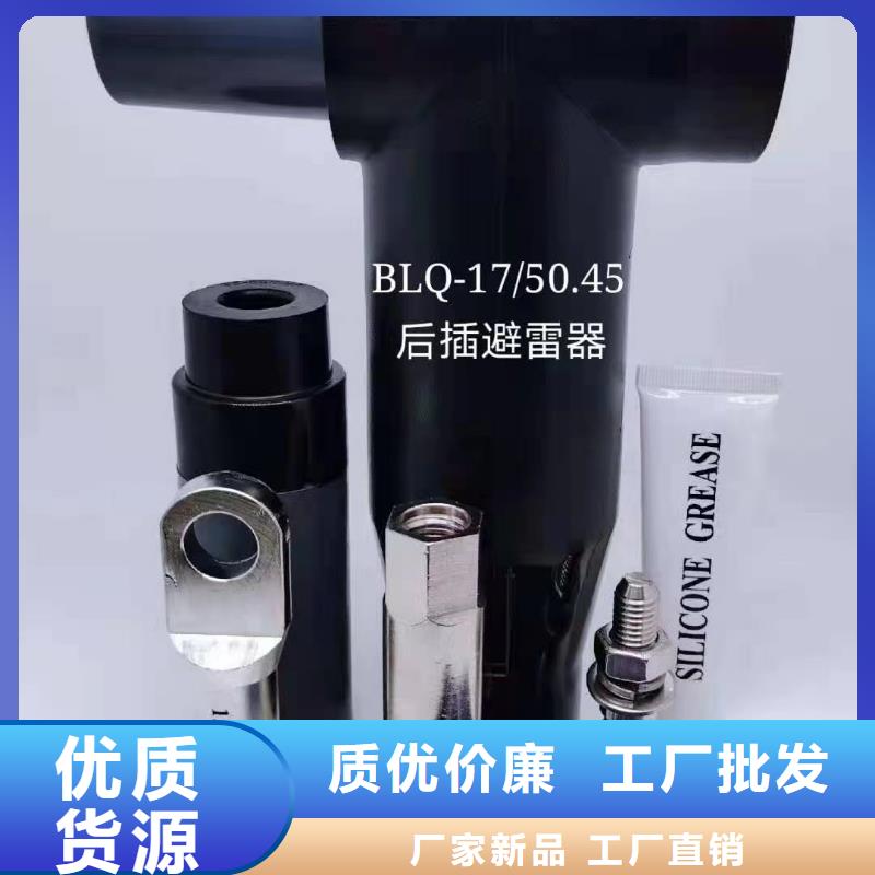 供应商电缆附件_【绝缘子】工艺成熟
