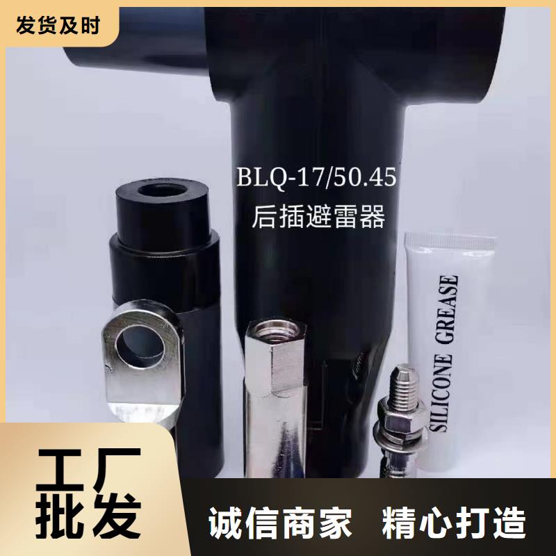 电缆附件真空断路器买的放心|阜阳|巢湖|合肥|安庆|亳州|淮南|铜陵经销商