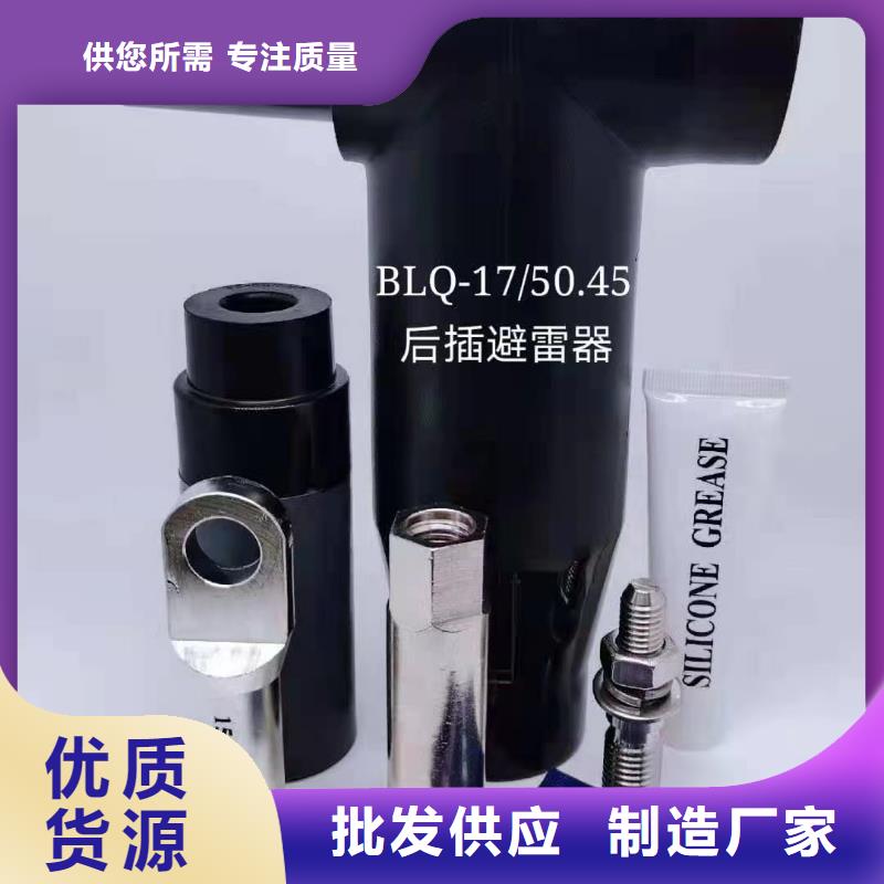 巢湖|阜阳|宿州|滁州电缆附件真空断路器买的放心-樊高
