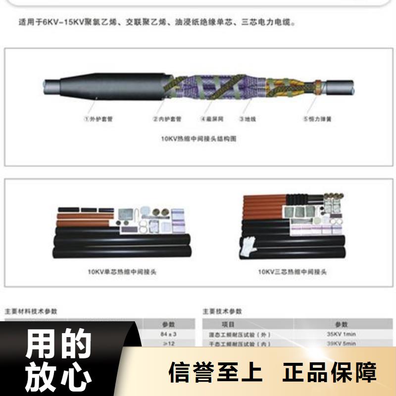 供应商电缆附件_【绝缘子】工艺成熟
