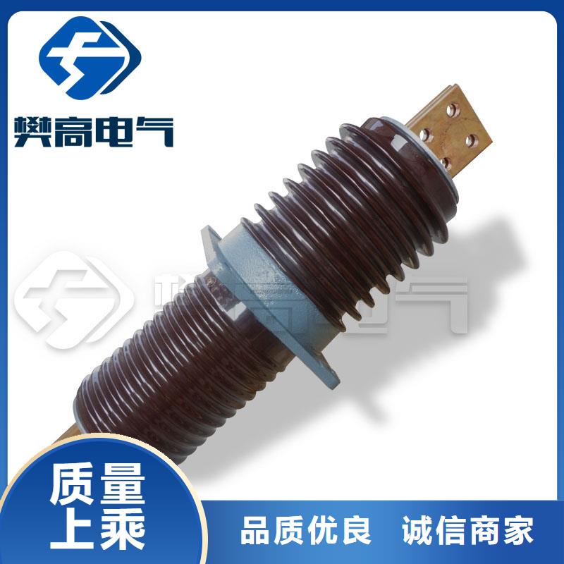 CWWB-20/630A-4高压套管