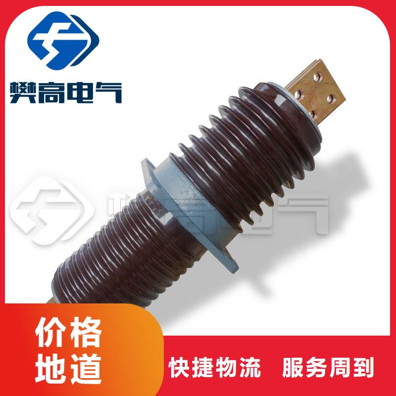 FCWW-10/1000A硅胶套管