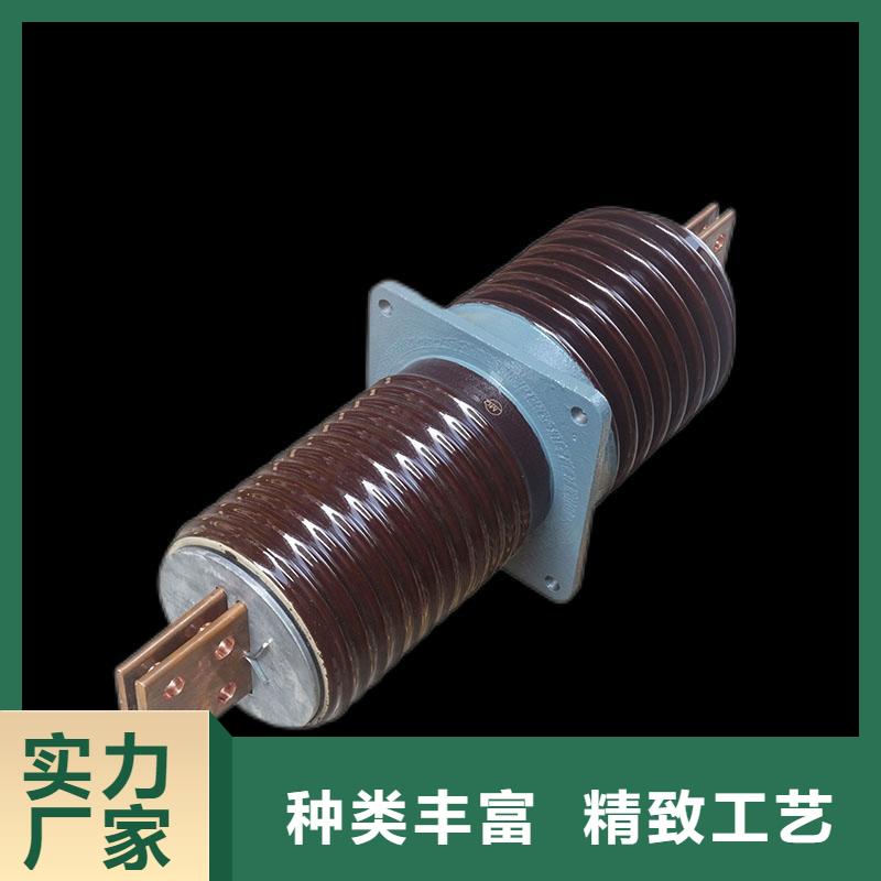 樊高氧化锌避雷器穿墙套管经验丰富质量放心