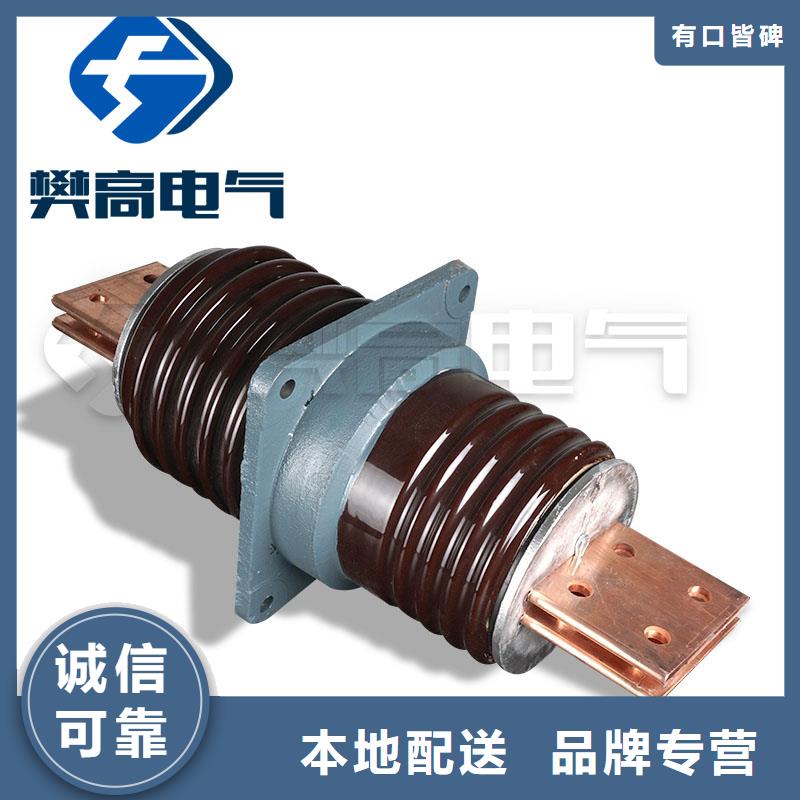 CWWL-10/1000A高压穿墙套管