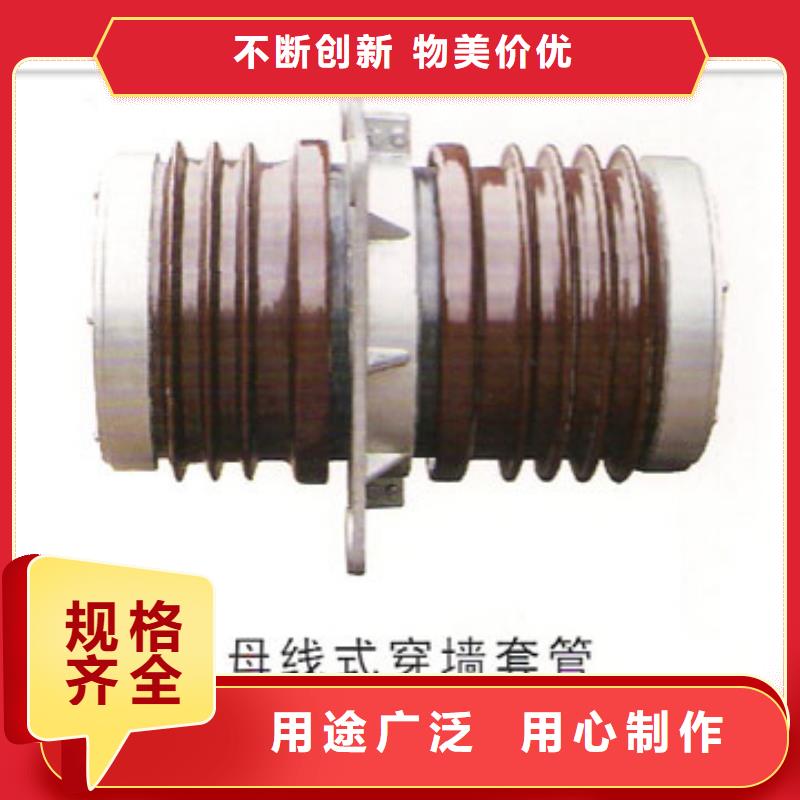 CWWB-20/4000高压套管