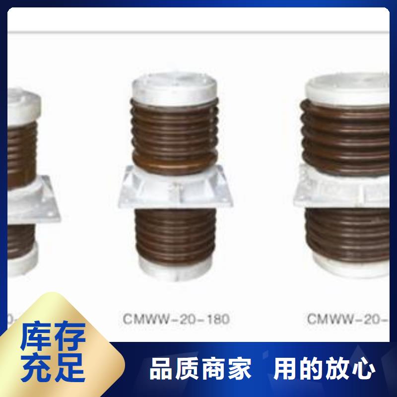 FCGW-35/2500高压硅胶套管