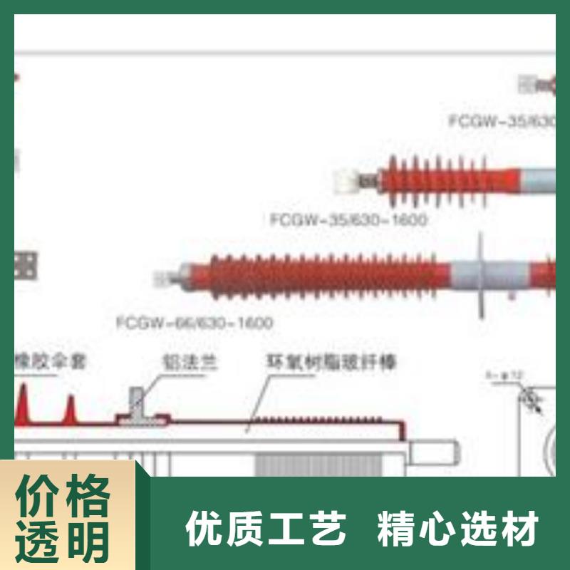 TG3-40.5Q/260*260套管带屏蔽