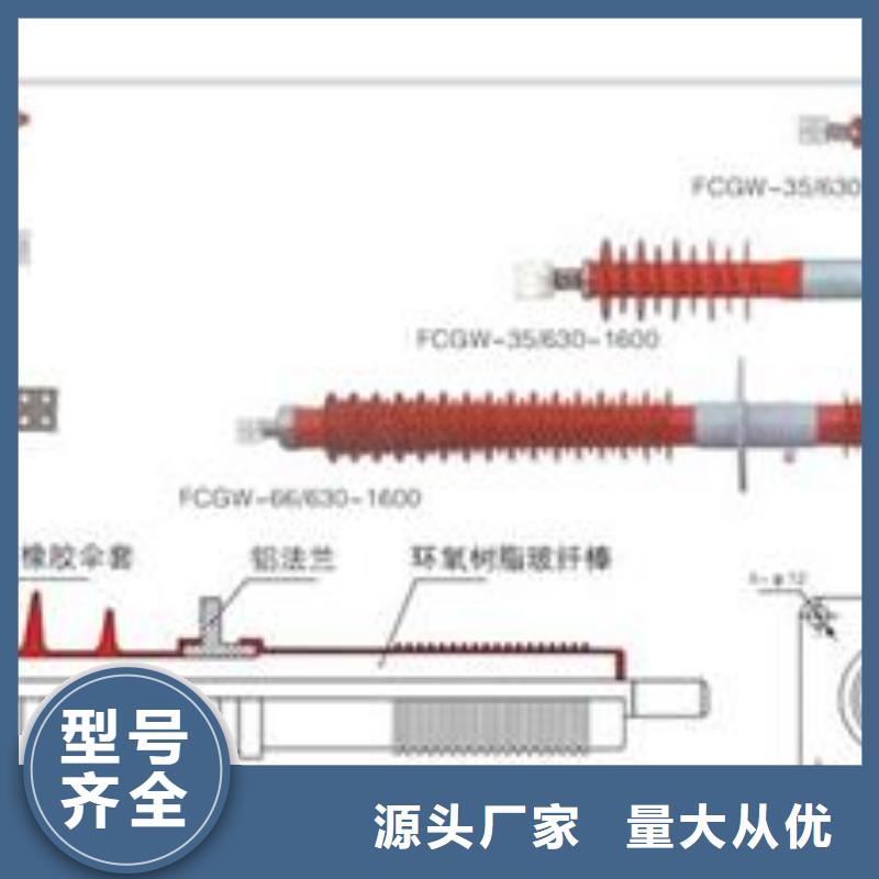 PRW12-36/100A高压陶瓷穿墙套管