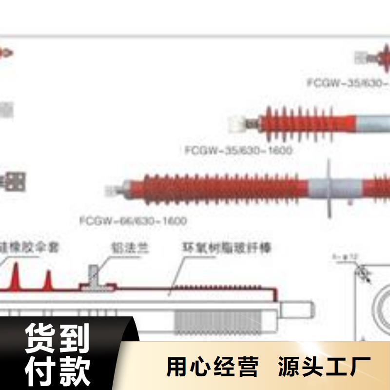 CWC-10/630高压穿墙套管樊高