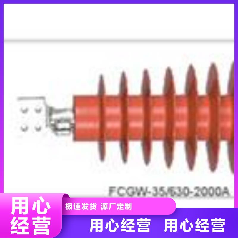 FCWB-24/1600A高压套管