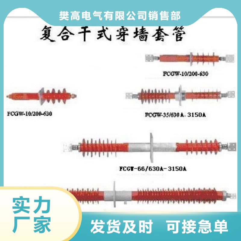 CWW-20/630A-4高压套管