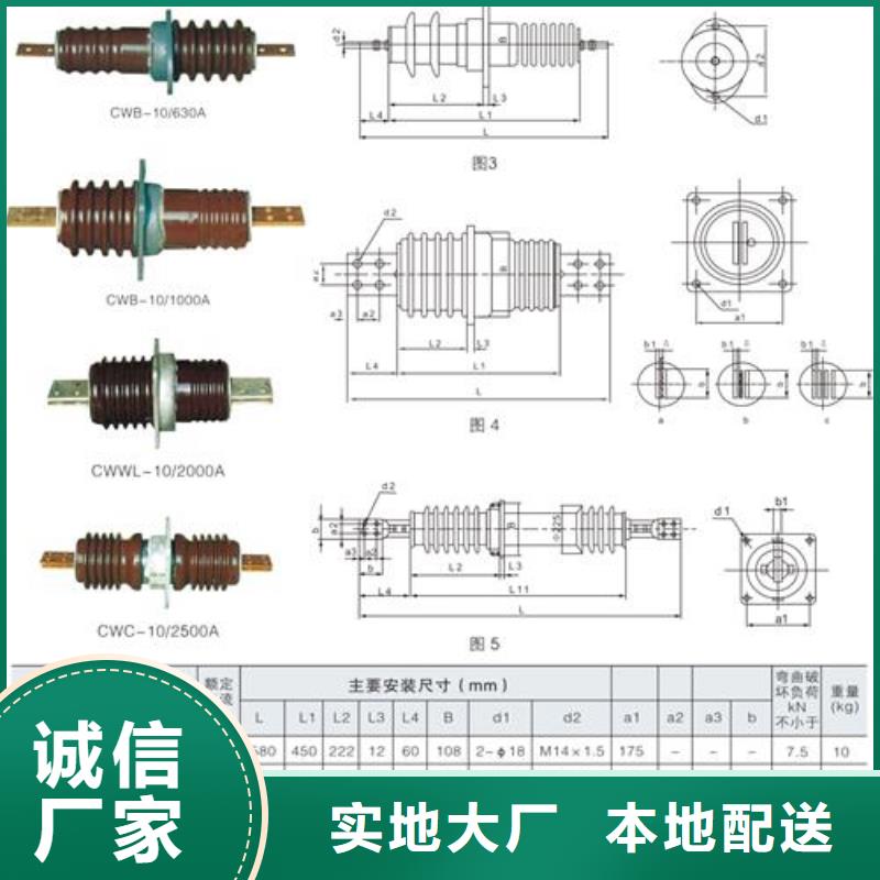 CWWB-10/1600陶瓷穿墙套管厂家直销