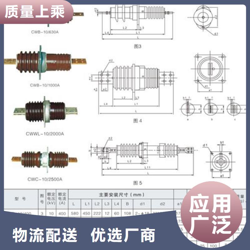 FCWB-24/3150高压套管【兰州】本地