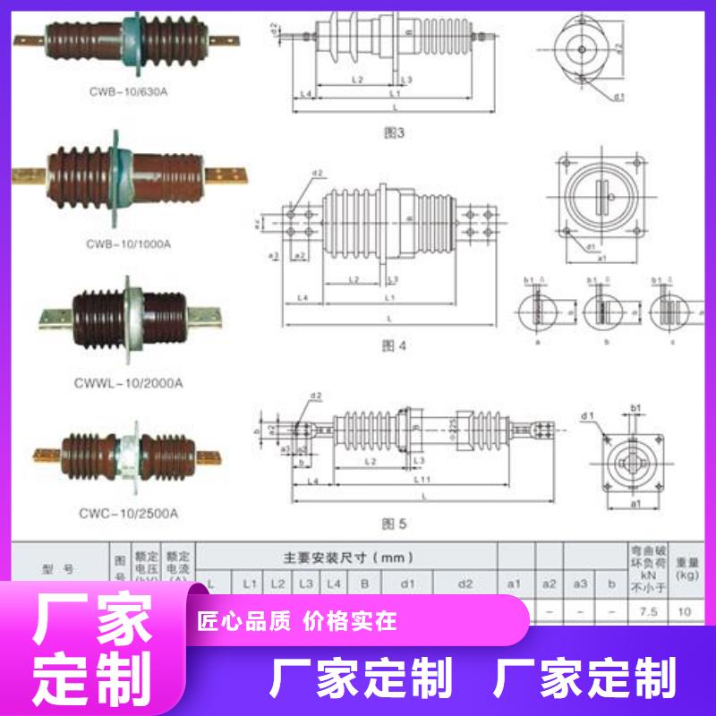 高压套管CWC-20/400A材质