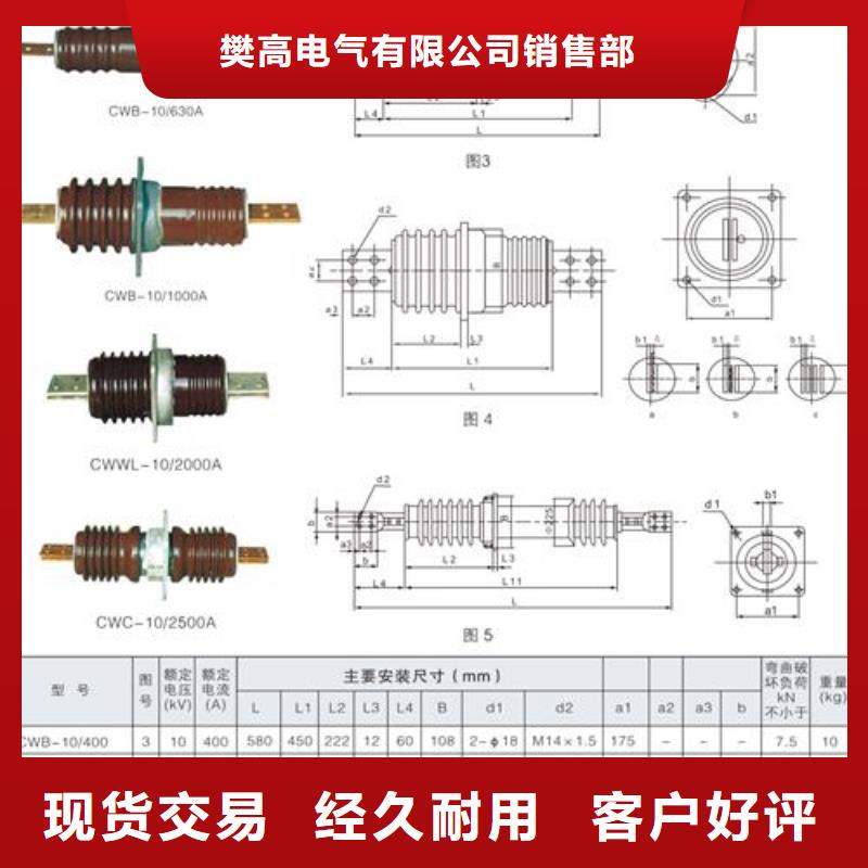 CWWB-20/4000A-4陶瓷穿墙套管