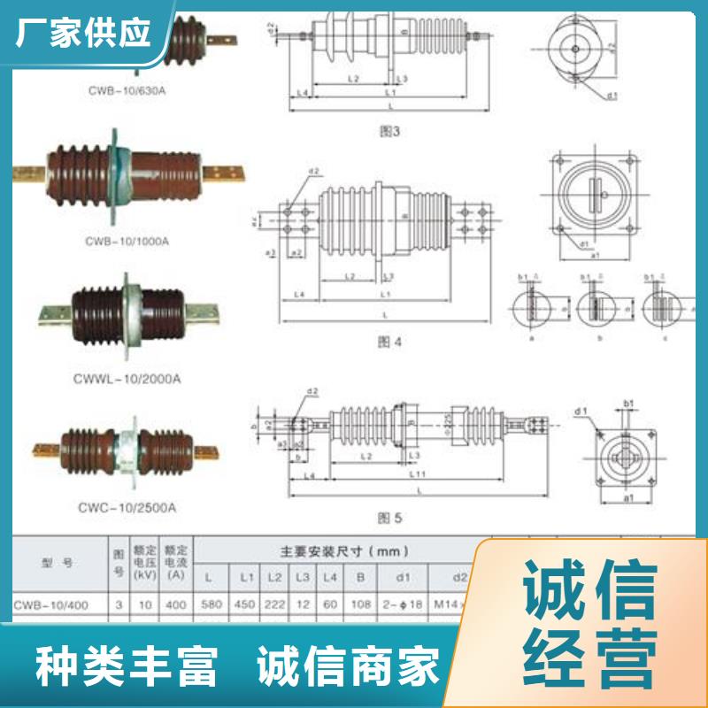 樊高氧化锌避雷器【 穿墙套管 真空断路器匠心工艺】qy55.com