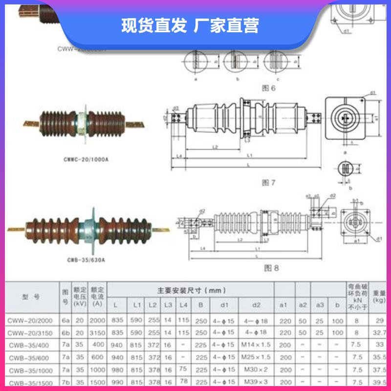 CWC-20/3000A高压穿墙套管西双版纳品质