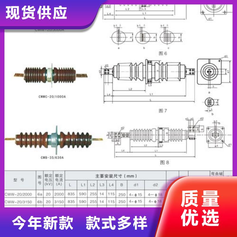 CWC-20/1250高压套管
