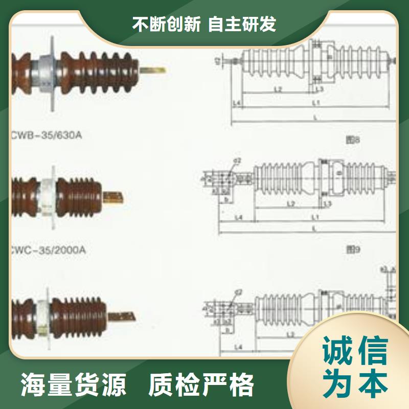 FCRG-20/2500高压套管