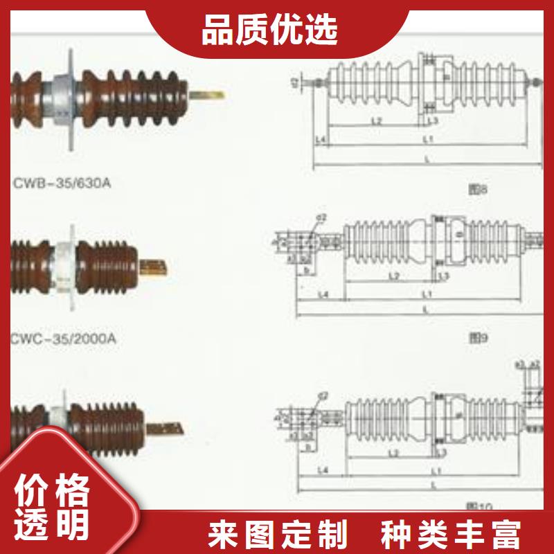 【穿墙套管高低压电器定制销售售后为一体】樊高氧化锌避雷器